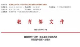 指导教育教学实践情况怎么写