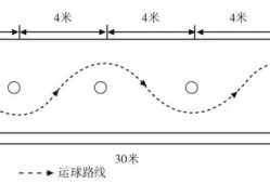 事关中考体育，河北省教育厅最新通知~