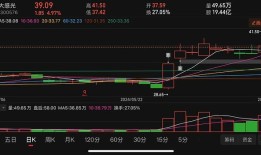 常达控股盘中异动急速拉升背后的市场分析与未来展望