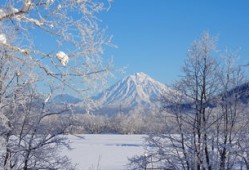 明天“大雪”，威海也迎来大雪！最新天气预报