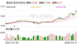 凯众股份：墨西哥工厂已完成产线调试及第一轮试样生产