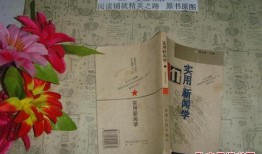 文学类新闻类期刊