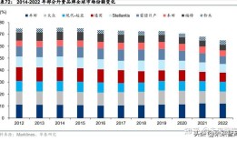 1.确定国际化战略