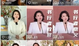 保险业的复兴从电视台导演到咨询公司精英，年入百万的梦想再次启航