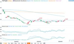 一张图：波罗的海指数因大型船舶运费下跌而下跌