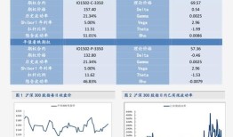 慧与科技期权市场动态分析成交量激增与未平仓合约的影响