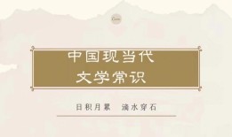 现在的中国文学怎样写作文