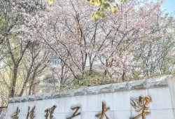 武汉科技大学考研大纲在哪