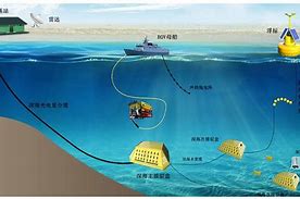 成电光信与太湖远大小巨人公司的上市之路