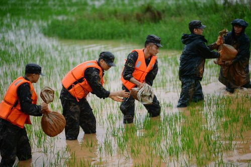 重庆多地发生洪涝武警官兵多路出击展开救援