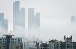 东北雨姐，从网红到争议的蜕变