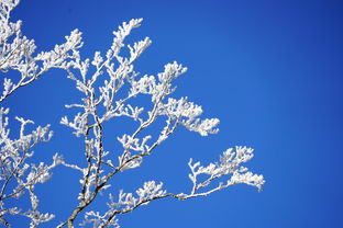 冬日诗韵，雪落寒江，国学大师解读千古冬思