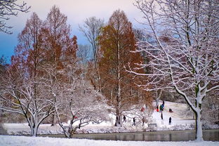 冬日诗韵，雪落寒江，国学大师解读千古冬思