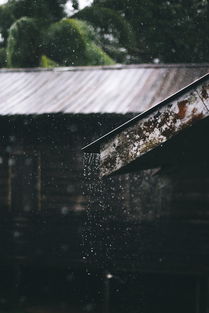 细蕴诗韵，墨染雨巷——解读古代诗词中的雨意人生