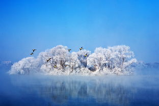 冬韵诗韵，寒雪诗篇中的国学韵味