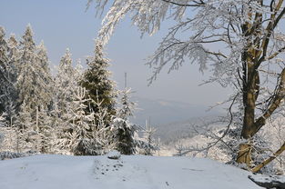 雪韵国学，诗中雪花的艺术与哲思