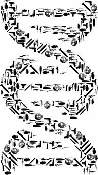 探析国学与现代分子生物学的交融，传统智慧与科学探索的对话