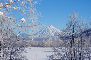 明天“大雪”，威海也迎来大雪！最新天气预报