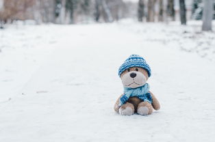 明天“大雪”，威海也迎来大雪！最新天气预报