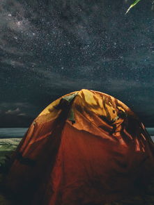 月光下的宁静，探秘人闲桂花落，夜静春山空诗意之美