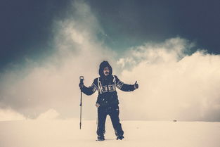 穿越冰雪之路，解读雪拥蓝关马不前的智慧与启示