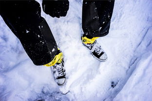 穿越冰雪之路，解读雪拥蓝关马不前的智慧与启示