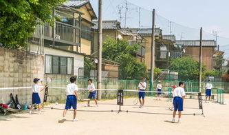 探秘天府之国的教育明珠，成都实验外国语学校西区，开启精英成长之旅