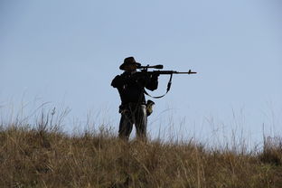 揭秘乌军惊人之举，1700名士兵未开一枪撤离战场