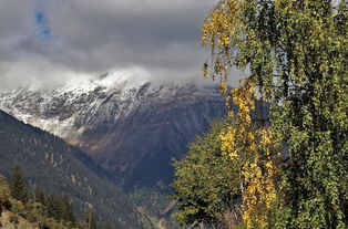 云雨巫山，一场情感的隐喻与现代生活中的心灵寓言